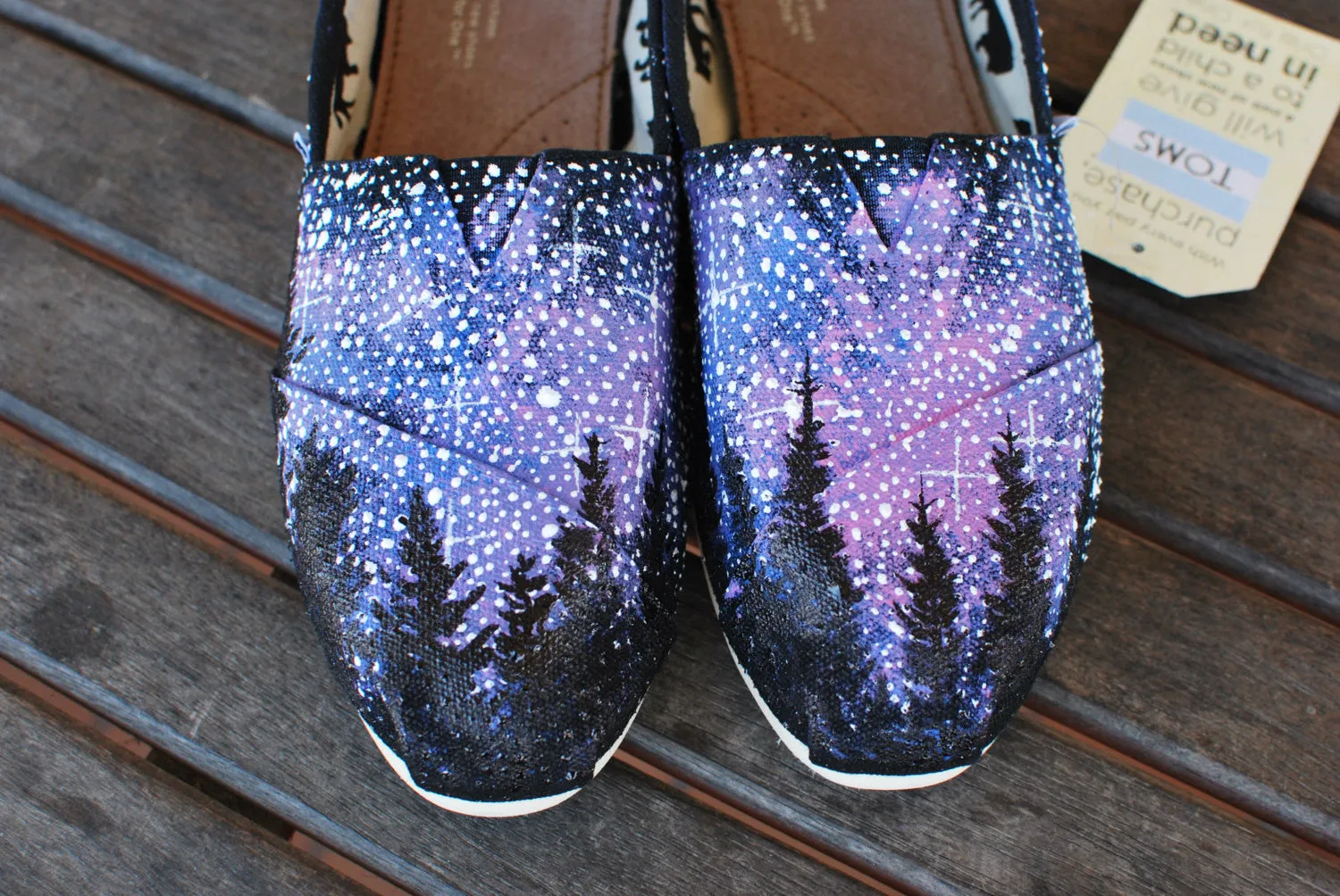 Alaska Galaxy TOMS shoes