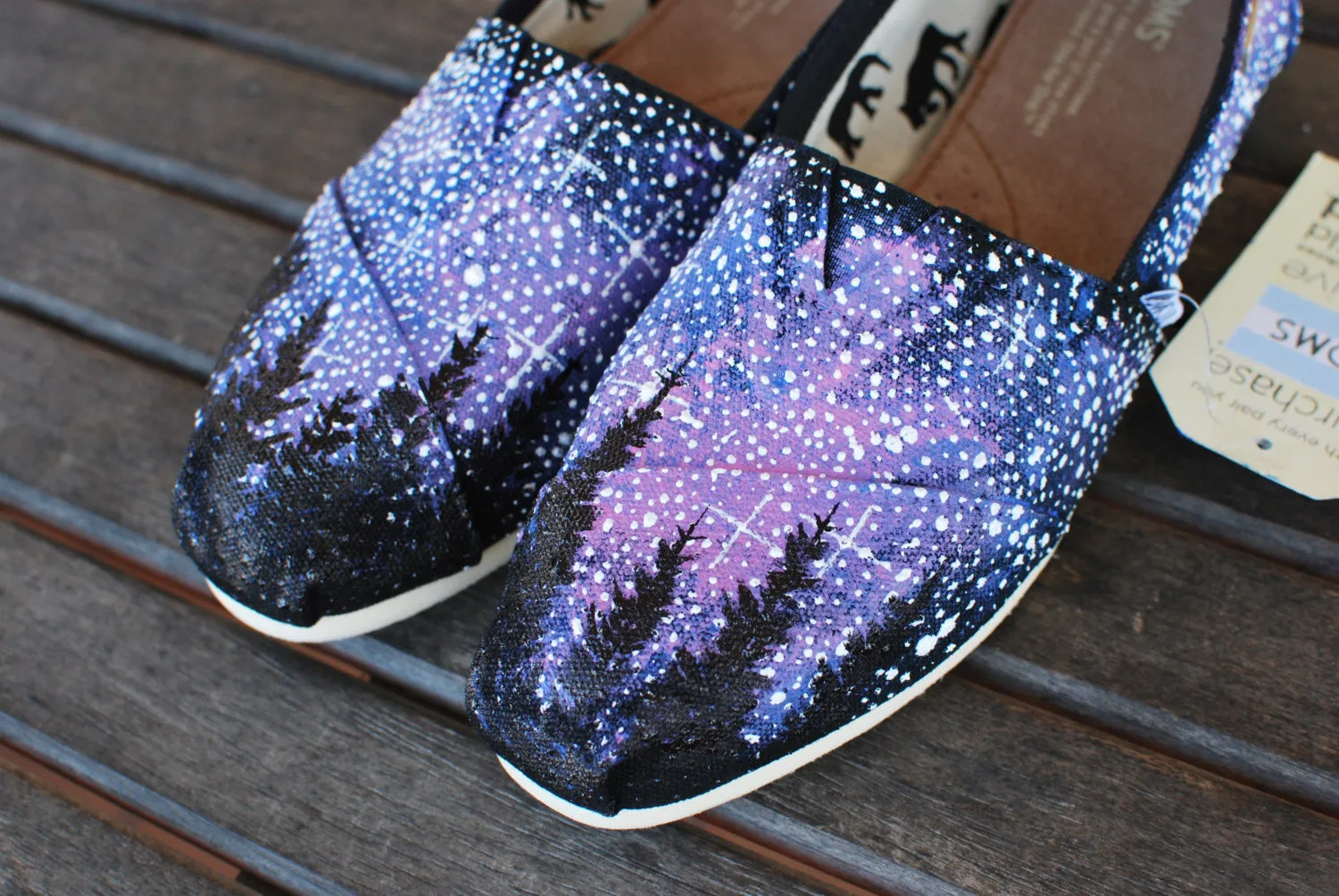 Alaska Galaxy TOMS shoes