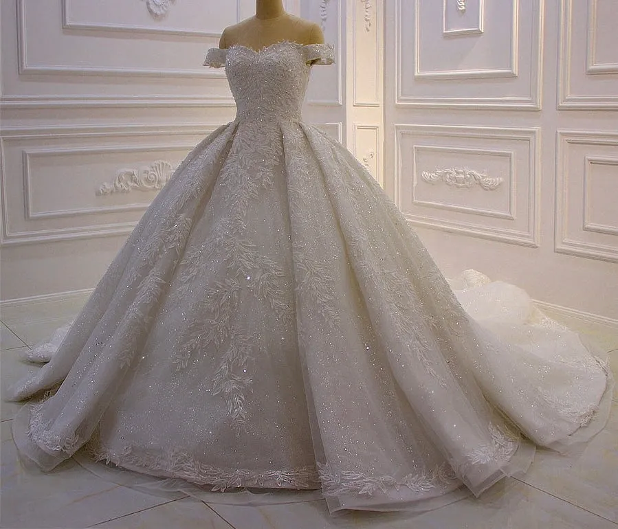 AM161 Lace Applique Beading Shiny Luxury Wedding Dress