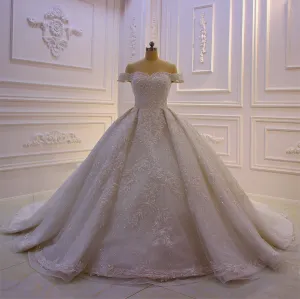 AM161 Lace Applique Beading Shiny Luxury Wedding Dress