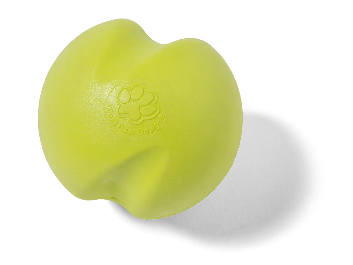 Toss and Fetch Dog toy, Zogoflex Jive