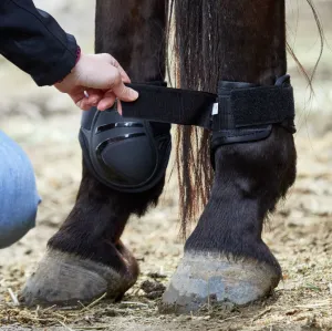 Zilco V22 Young Horse Fetlock Boots